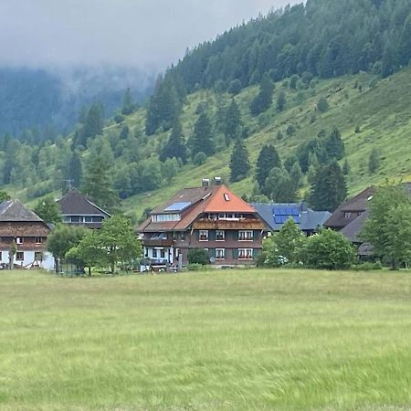 Gaestehaus Kaiser Menzenschwand-Hinterdorf Dış mekan fotoğraf