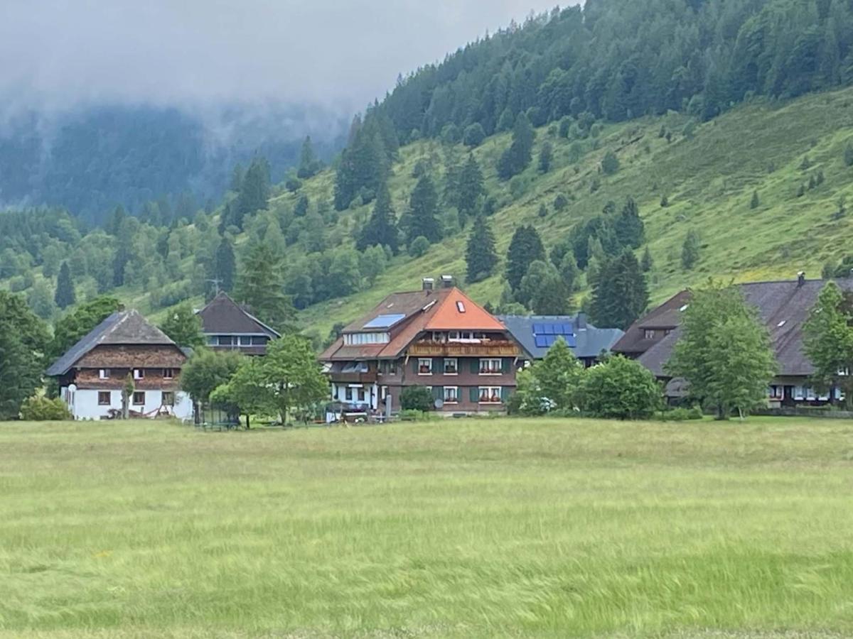 Gaestehaus Kaiser Menzenschwand-Hinterdorf Dış mekan fotoğraf