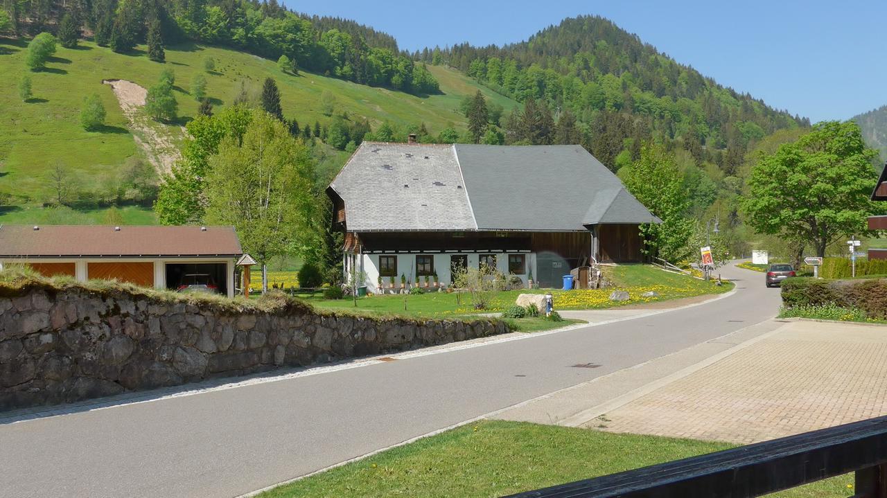 Gaestehaus Kaiser Menzenschwand-Hinterdorf Dış mekan fotoğraf